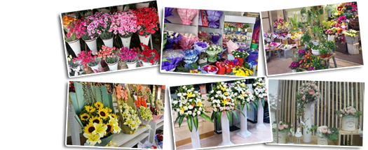 作为知名鲜花速递网的拥有者，本鲜花店送花，承诺热情对待每一位到本花店订购鲜花的顾客，用心做好每一次鲜花预定、制作和配送服务
